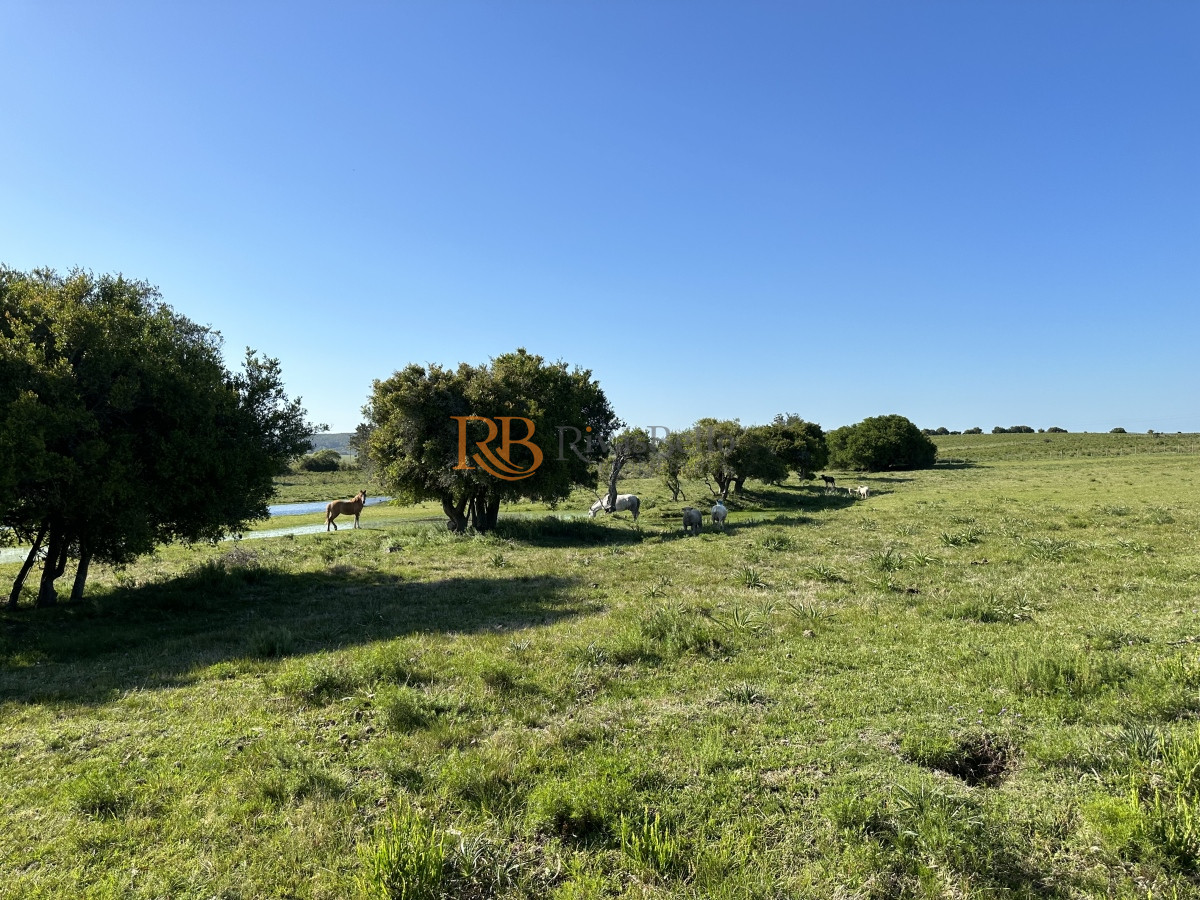 Chacra ID.92 - PUEBLO EDEN VENTA DE CHACRA DE 5 HA PRECIO REBAJADO