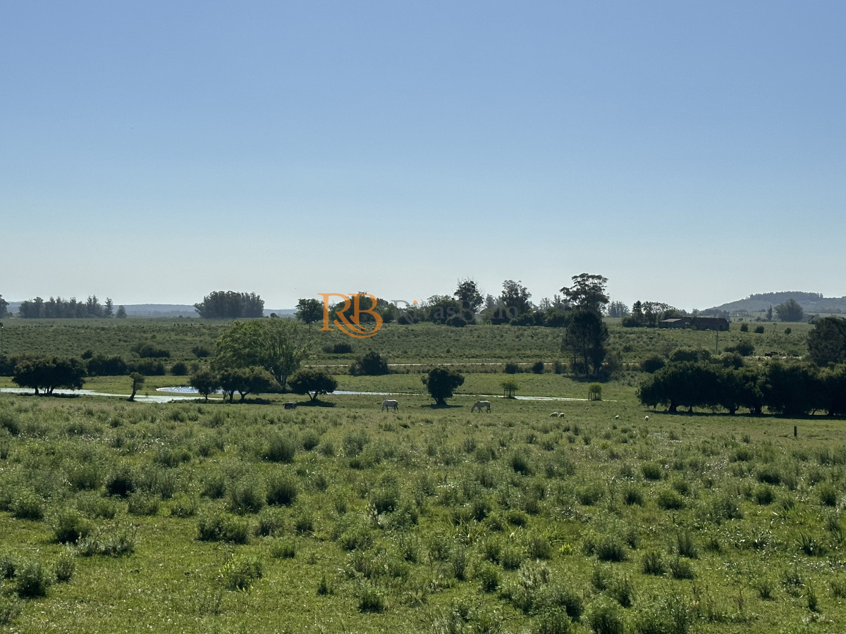 Chacra ID.92 - PUEBLO EDEN VENTA DE CHACRA DE 5 HA PRECIO REBAJADO