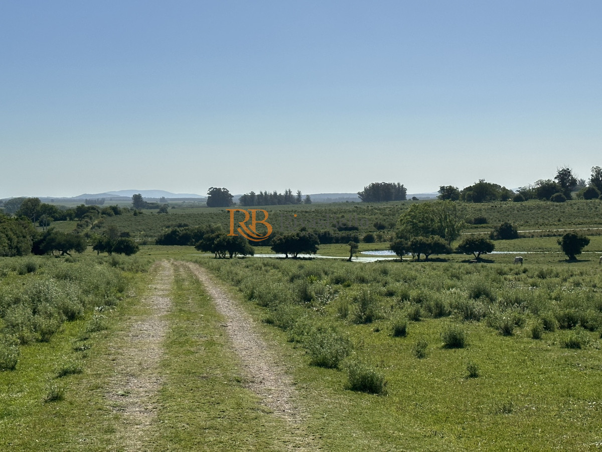 Chacra ID.92 - PUEBLO EDEN VENTA DE CHACRA DE 5 HA PRECIO REBAJADO