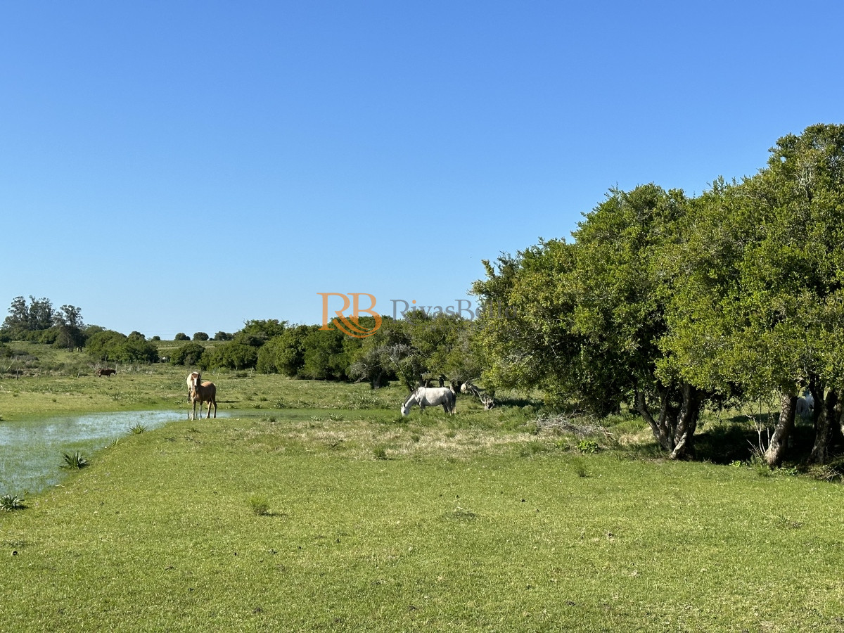 Chacra ID.92 - PUEBLO EDEN VENTA DE CHACRA DE 5 HA PRECIO REBAJADO