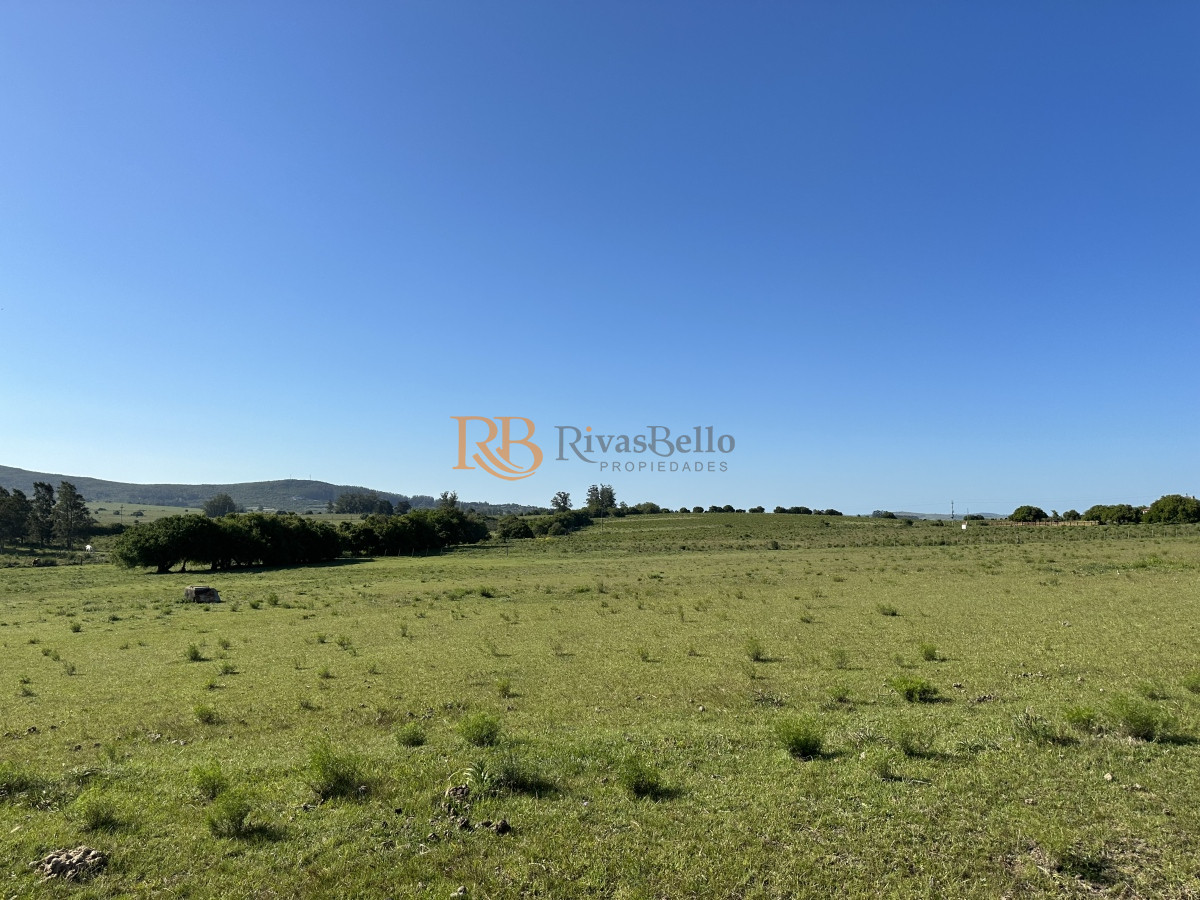 Chacra ID.92 - PUEBLO EDEN VENTA DE CHACRA DE 5 HA PRECIO REBAJADO