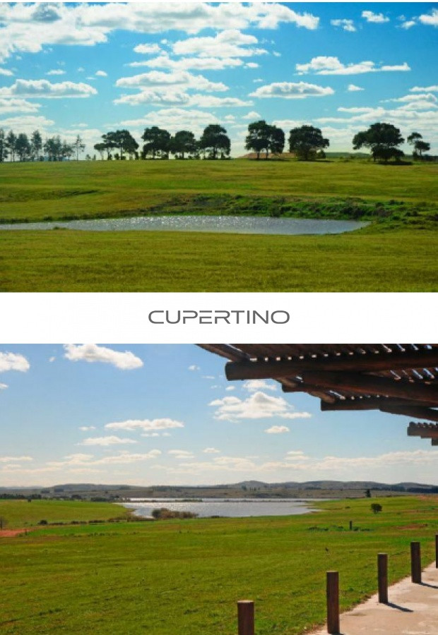 Terreno en Punta Ballena, Laguna de los Cisnes — foto 18