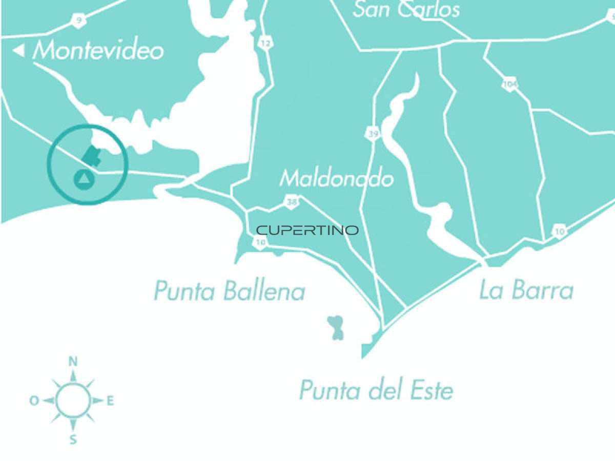 Terreno en Punta Ballena, Laguna de los Cisnes — foto 22