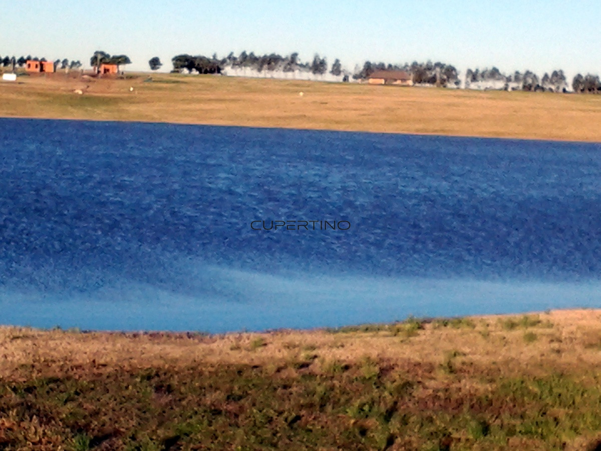 Terreno en Punta Ballena, Laguna de los Cisnes — foto 14