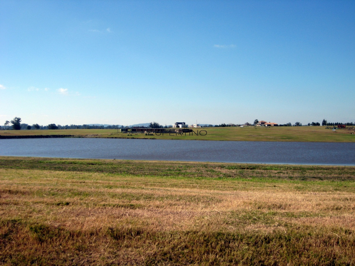 Terreno en Punta Ballena, Laguna de los Cisnes — foto 19
