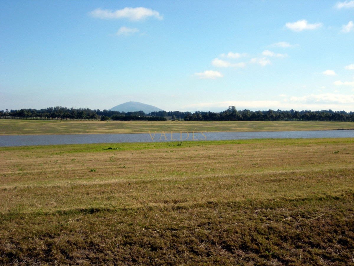 Terreno ID.646 - 50 metros de costa, acepta financiacion sin interes, venta, chacra, Punta del Este, Uruguay, LAGUNA DE LOS CISNES
