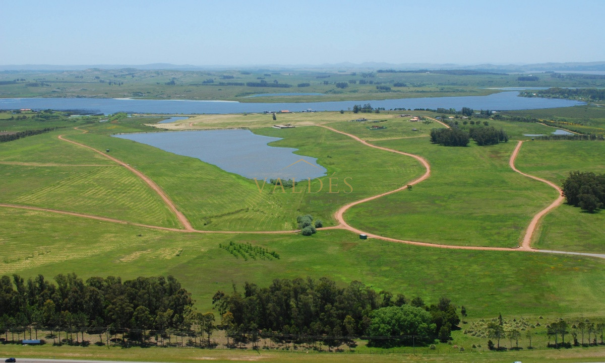 Terreno ID.646 - 50 metros de costa, acepta financiacion sin interes, venta, chacra, Punta del Este, Uruguay, LAGUNA DE LOS CISNES