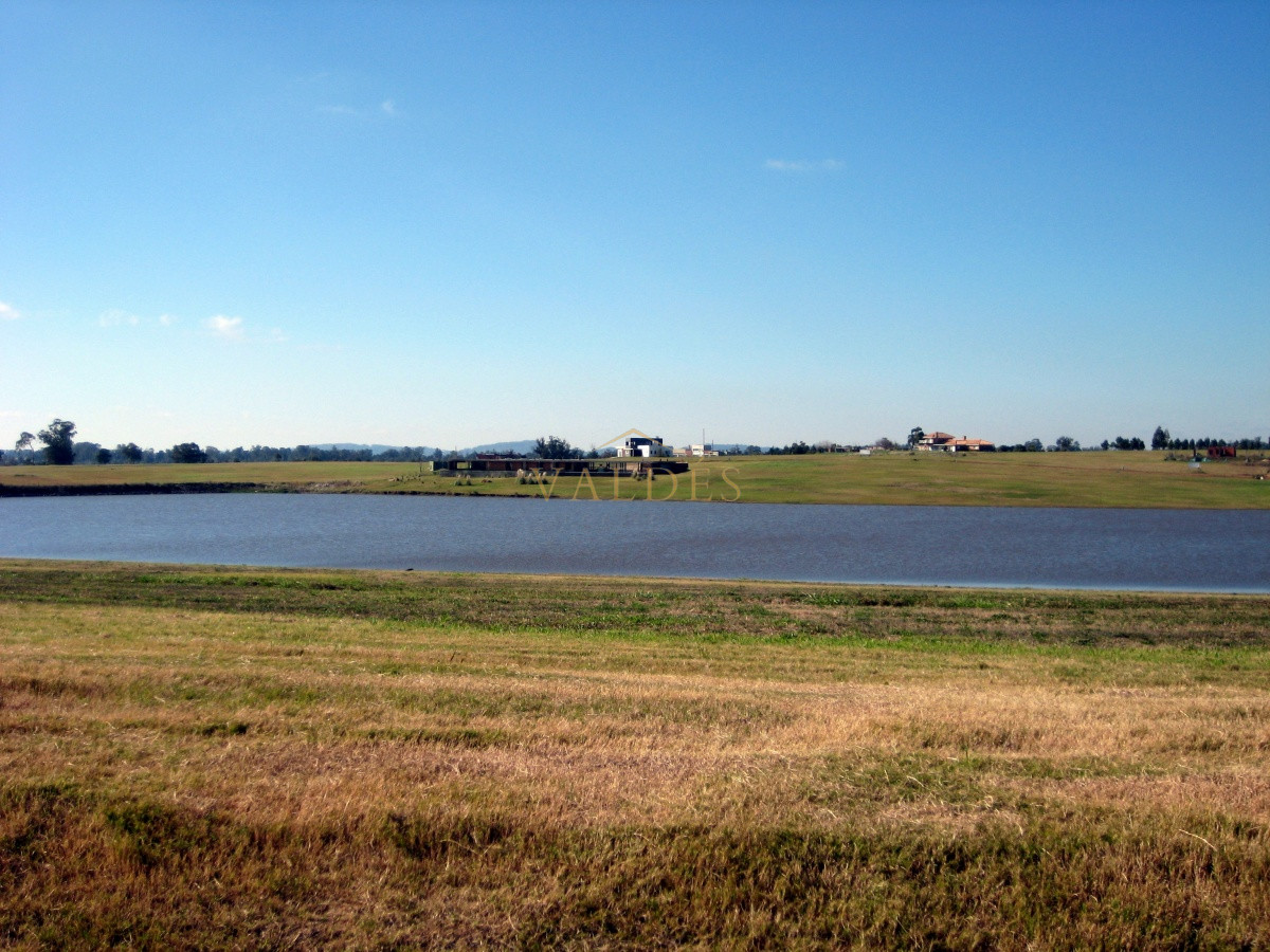 Terreno ID.646 - 50 metros de costa, acepta financiacion sin interes, venta, chacra, Punta del Este, Uruguay, LAGUNA DE LOS CISNES