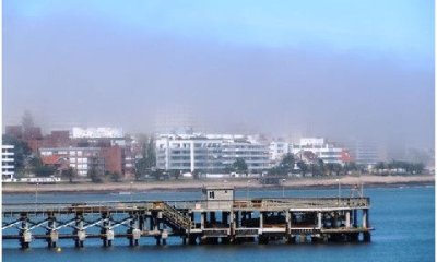 Apartamento en playa  Mansa punta del este , 3 dormitorios , frente al mar, torre Premium