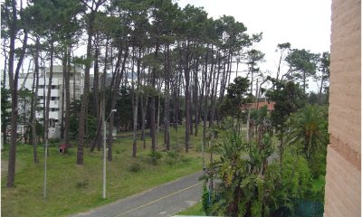 Apartamento en Mansa, 2 dormitorios *