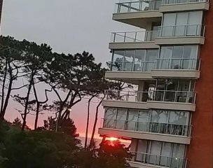 Apartamento en Mansa, 1 dormitorio y medio, multiples servicios
