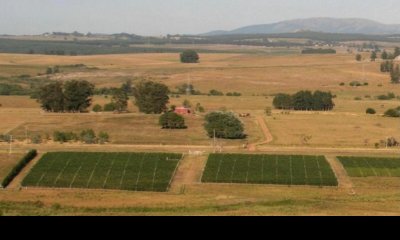 Oportunidad para fraccionar , ideal inversion, Ruta 12, venta