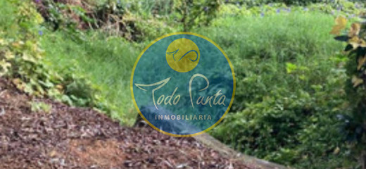 Hermoso lote en Maldonado, Punta del Este, barrio Rincon del Indio. 6.149 m2 , venta
