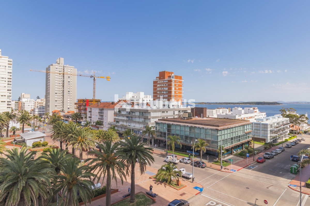 Península - GoPunta - Portal Inmobiliario de Punta del Este - Maldonado