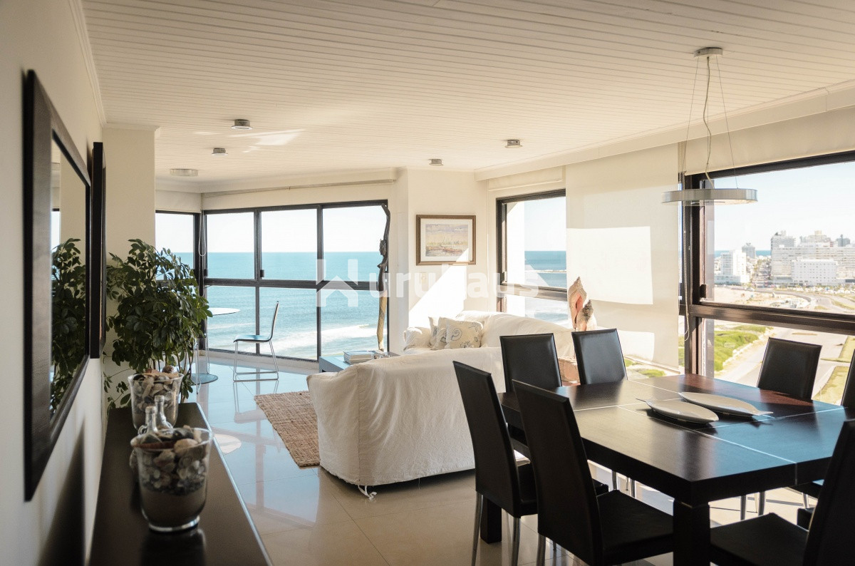 Aidy Grill - GoPunta - Portal Inmobiliario de Punta del Este - Maldonado