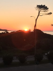 ALQUILER APARTAMENTO DOS DORMITORIOS PUNTA DEL ESTE MANSA PRIMERA LINEA