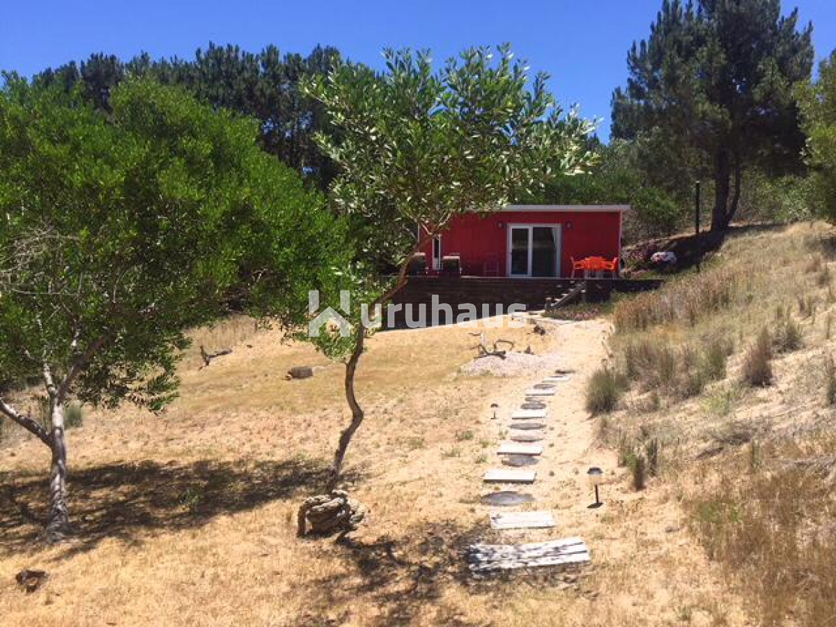 VENTA TERRENO ARENAS DE JOSE IGNACIO CALLE COMERCIAL