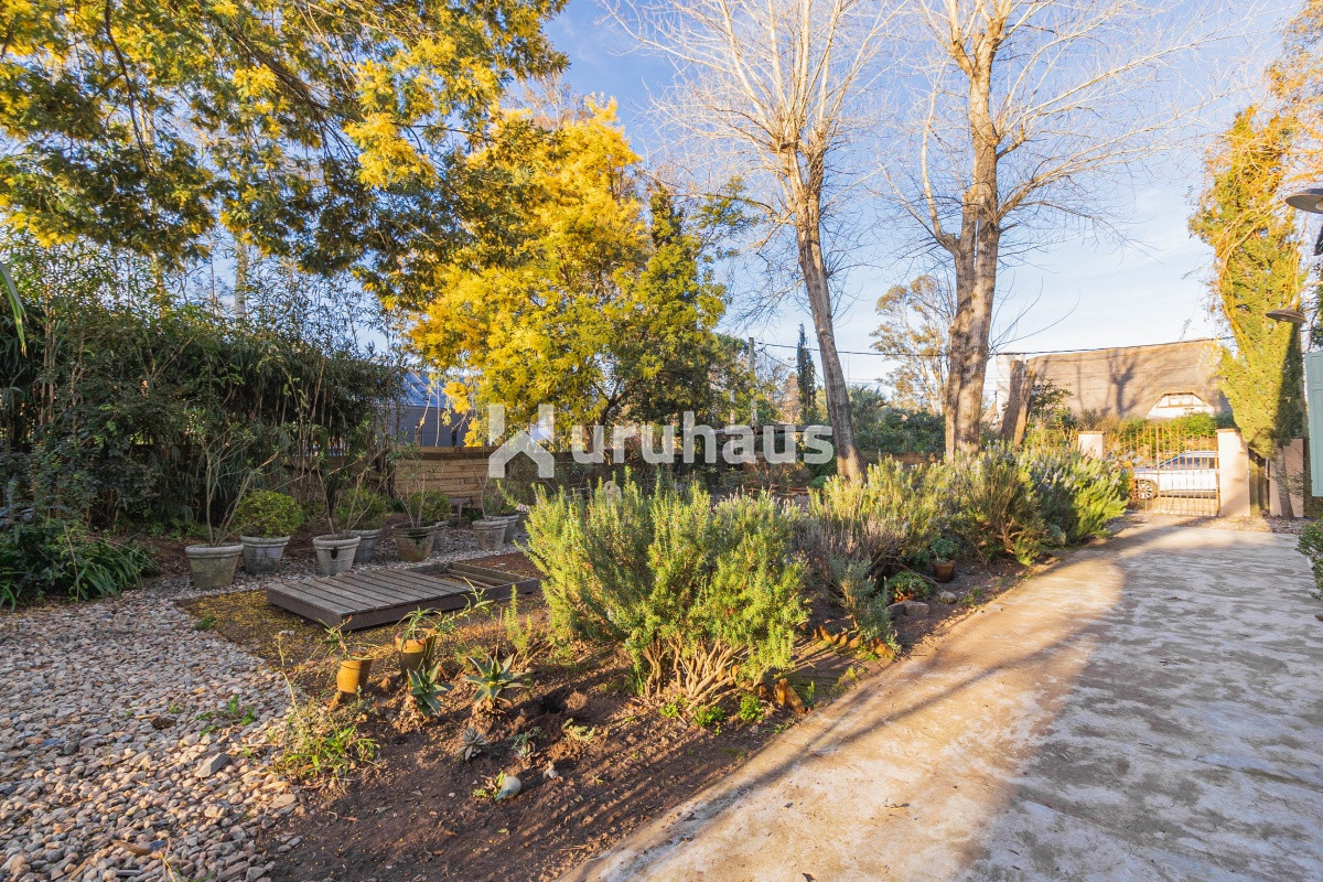 El Tesoro - GoPunta - Portal Inmobiliario de Punta del Este - Maldonado