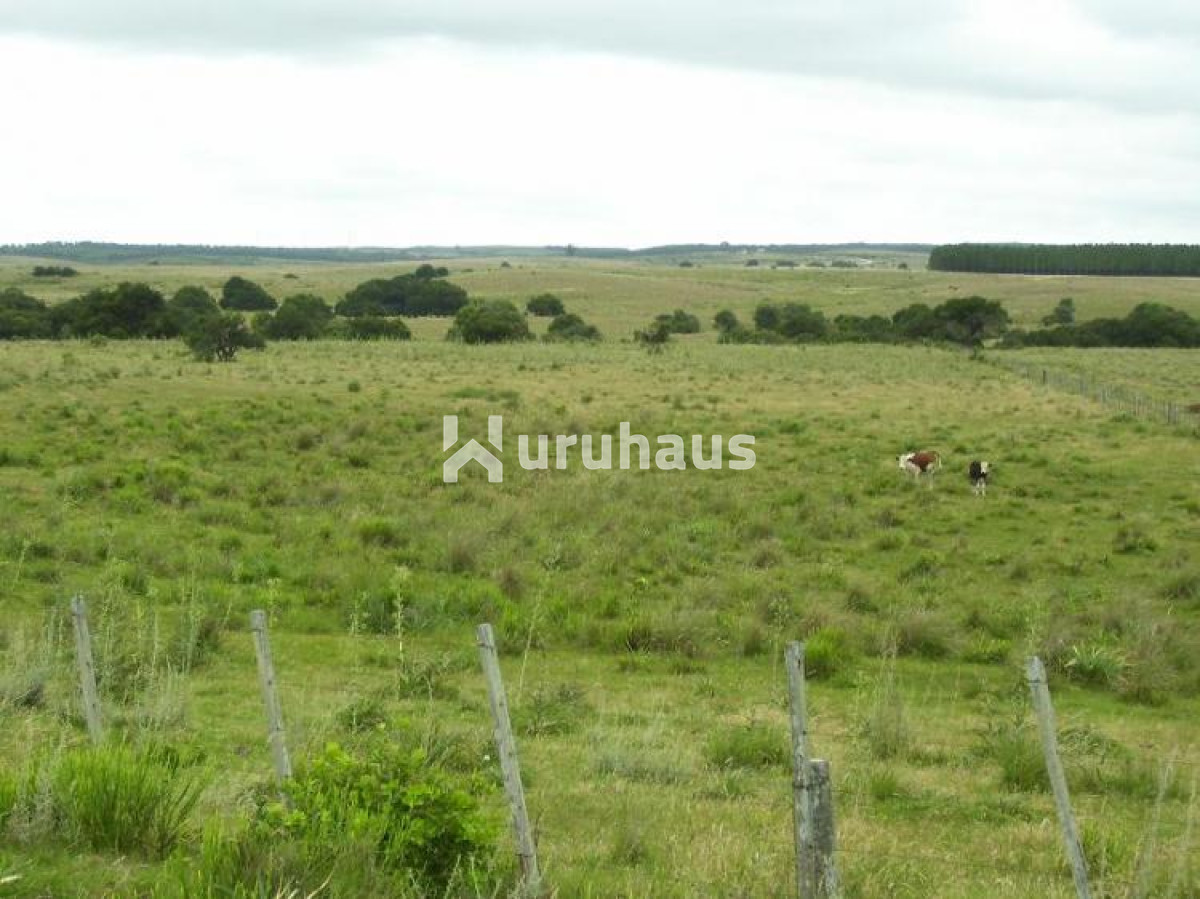 Pueblo Garzón - GoPunta - Portal Inmobiliario de Punta del Este - Maldonado