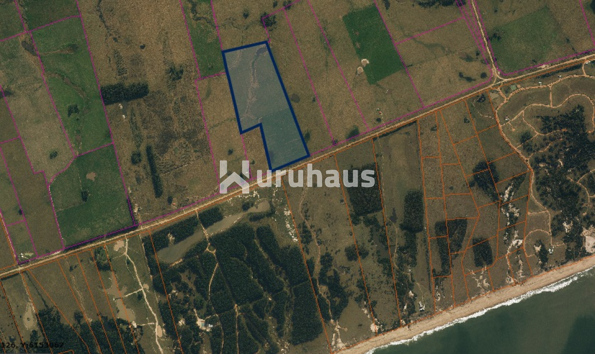 Venta   Permuta Campo en Las Garzas   Rocha - GoPunta - Portal Inmobiliario de Punta del Este - Maldonado