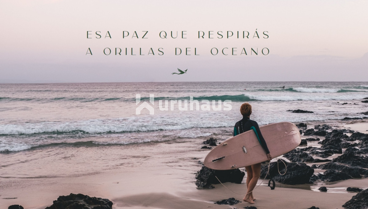 Camino Eguzquiza - GoPunta - Portal Inmobiliario de Punta del Este - Maldonado