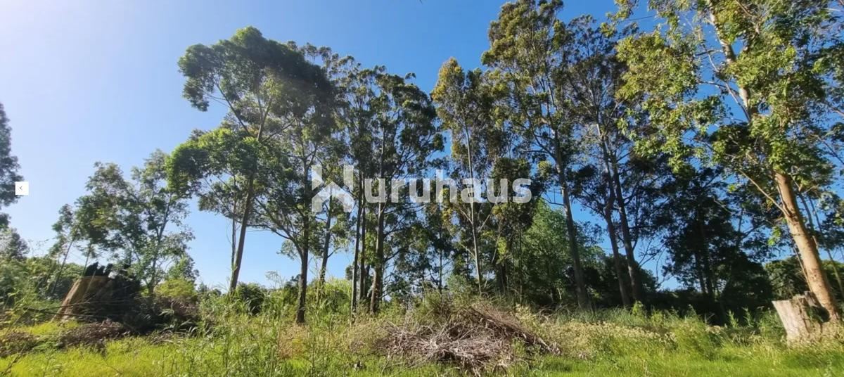 Golf - GoPunta - Portal Inmobiliario de Punta del Este - Maldonado