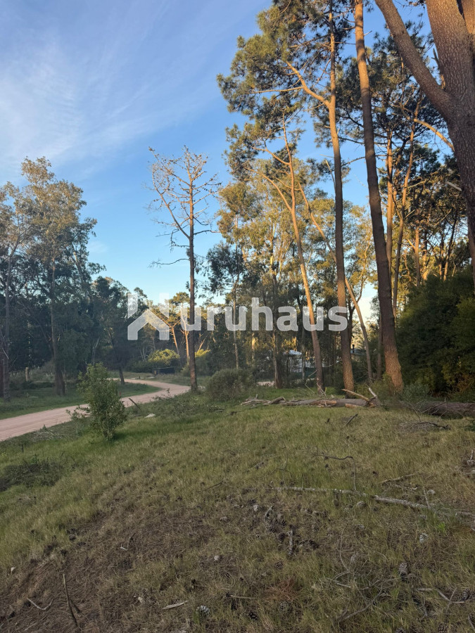 Montoya - GoPunta - Portal Inmobiliario de Punta del Este - Maldonado
