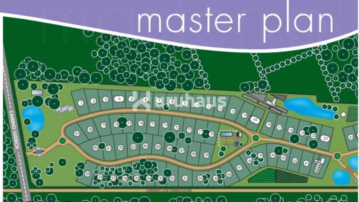 Punta Ballena - GoPunta - Portal Inmobiliario de Punta del Este - Maldonado