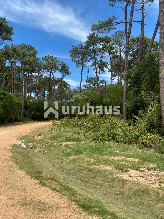 Montoya - GoPunta - Portal Inmobiliario de Punta del Este - Maldonado