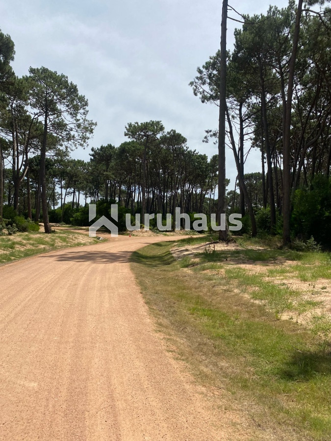 Montoya - GoPunta - Portal Inmobiliario de Punta del Este - Maldonado