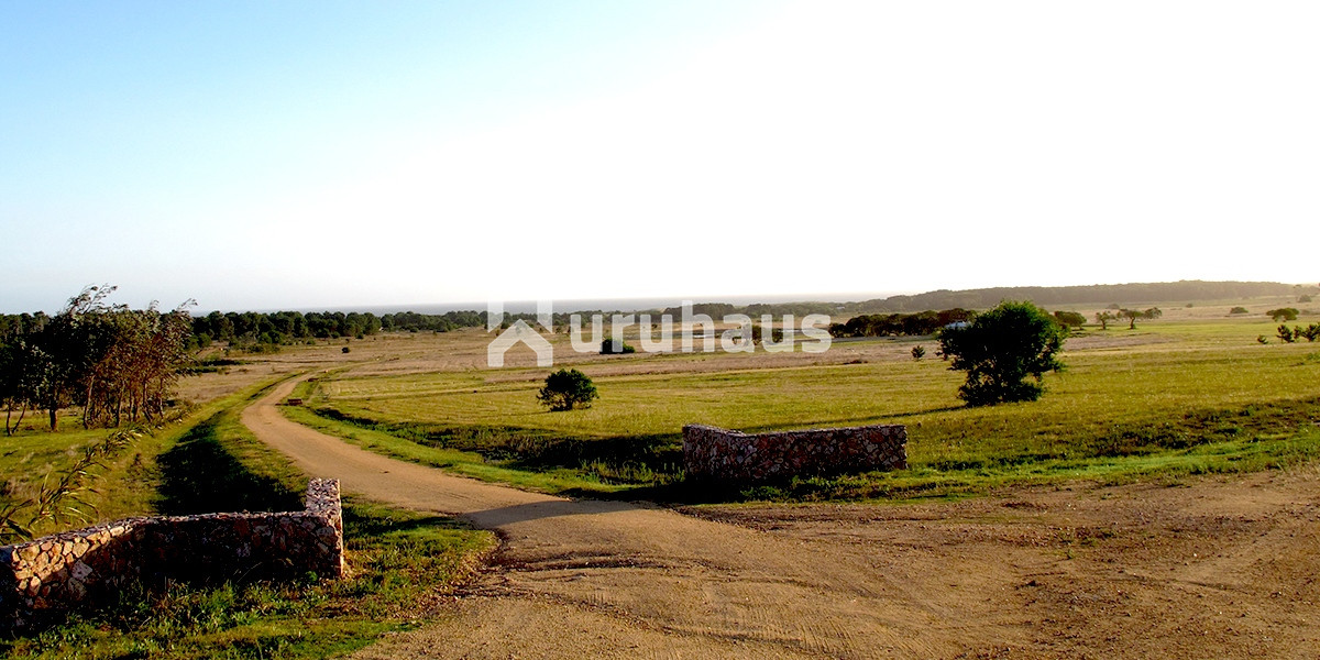 La Paloma - GoPunta - Portal Inmobiliario de Punta del Este - Maldonado