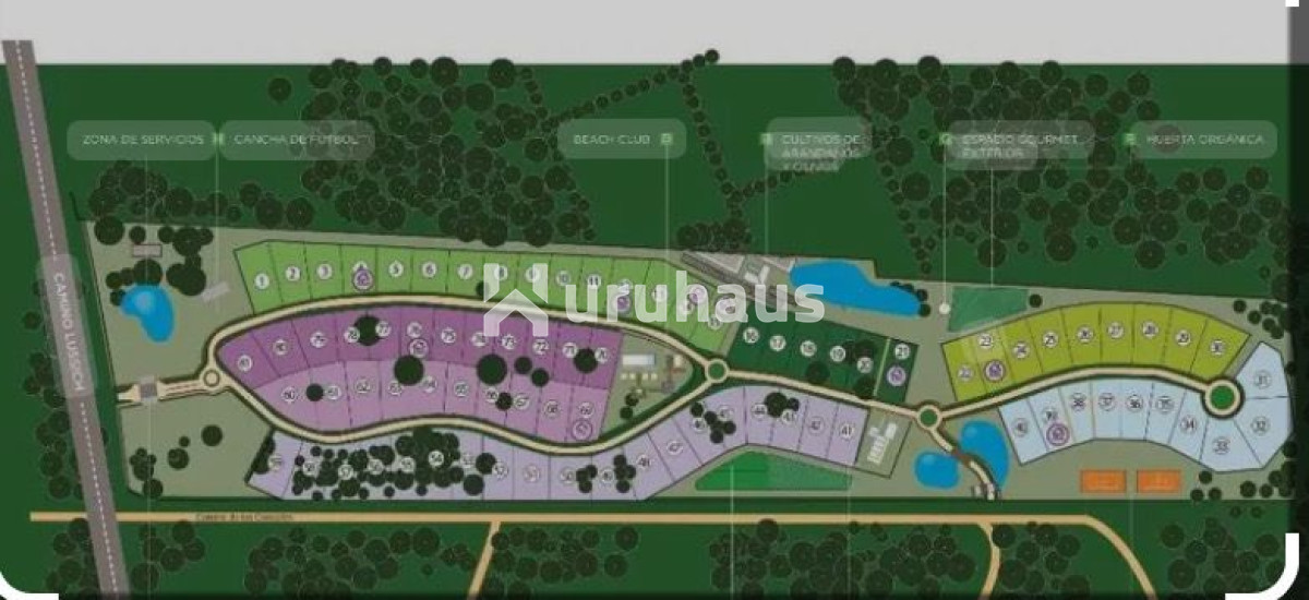 Punta Ballena - GoPunta - Portal Inmobiliario de Punta del Este - Maldonado