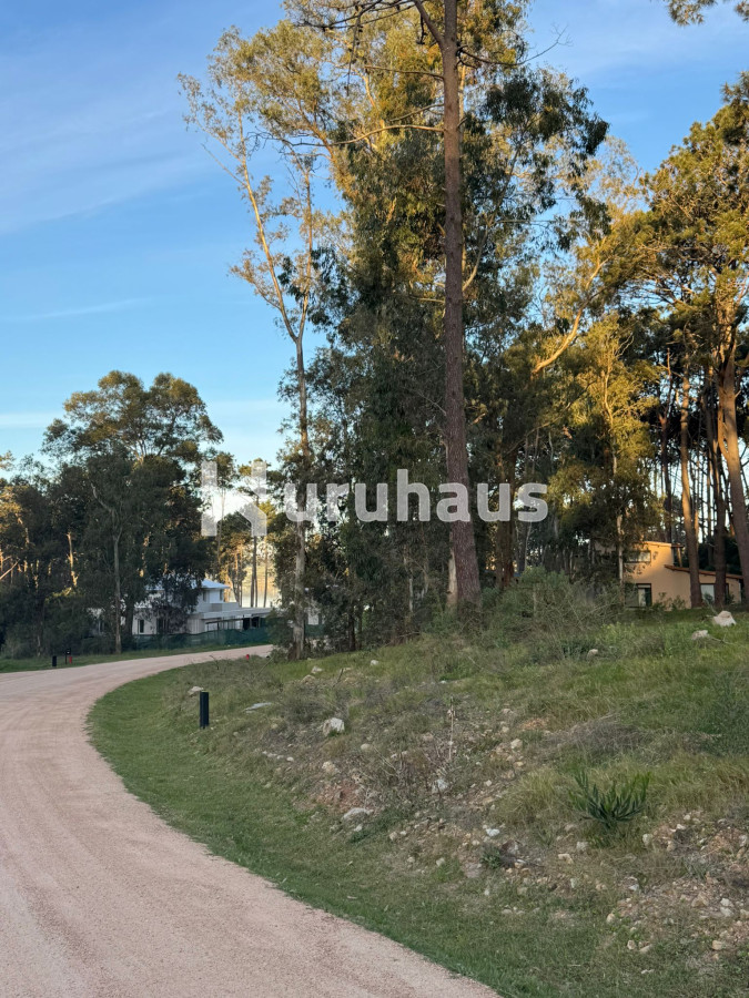 Montoya - GoPunta - Portal Inmobiliario de Punta del Este - Maldonado