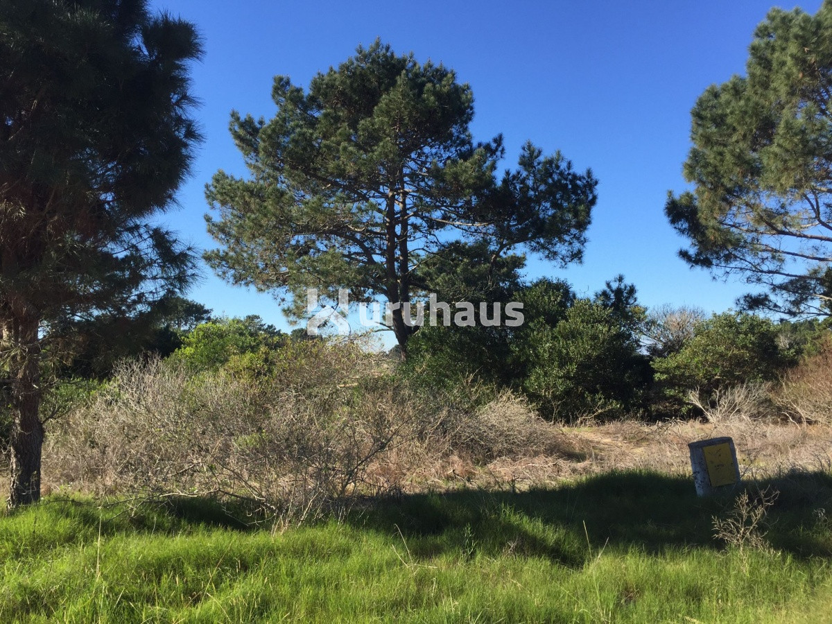 Arenas de José Ignacio - GoPunta - Portal Inmobiliario de Punta del Este - Maldonado