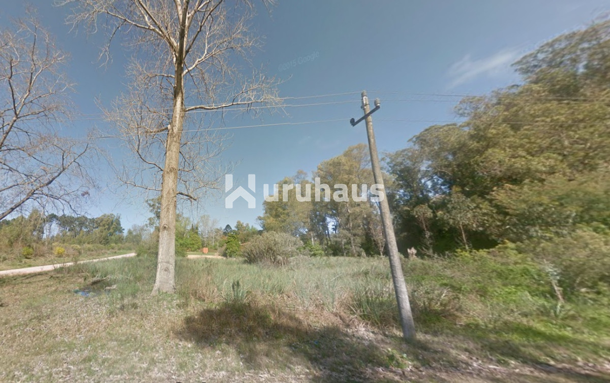 El Jaguel - GoPunta - Portal Inmobiliario de Punta del Este - Maldonado