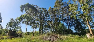 TERRENO EN VENTA ZONA GOLF PUNTA DEL ESTE 