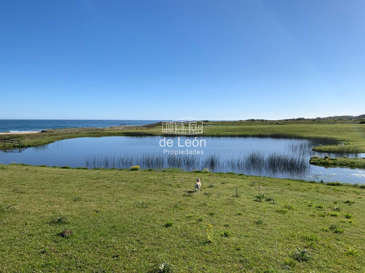 Chacra con casa sobre el mar - GoPunta - Portal Inmobiliario de Punta del Este - Maldonado