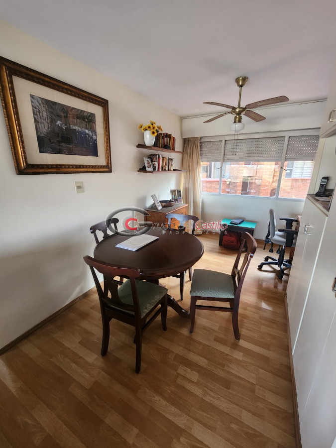 Apartamento ID.147 - Excelente Penthouse Vista Super Despejada A Pasos De Br. Artigas