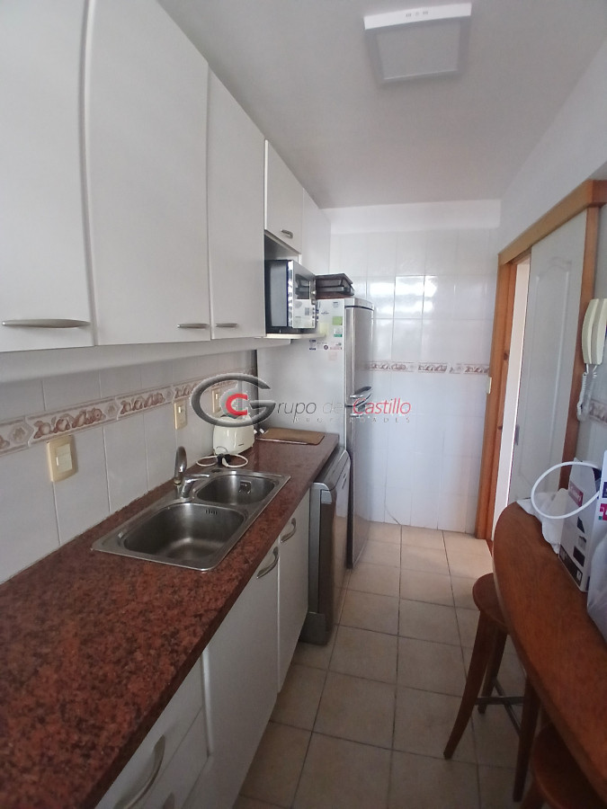 Apartamento ID.166 - Frente Al Parque De Villa Biarritz