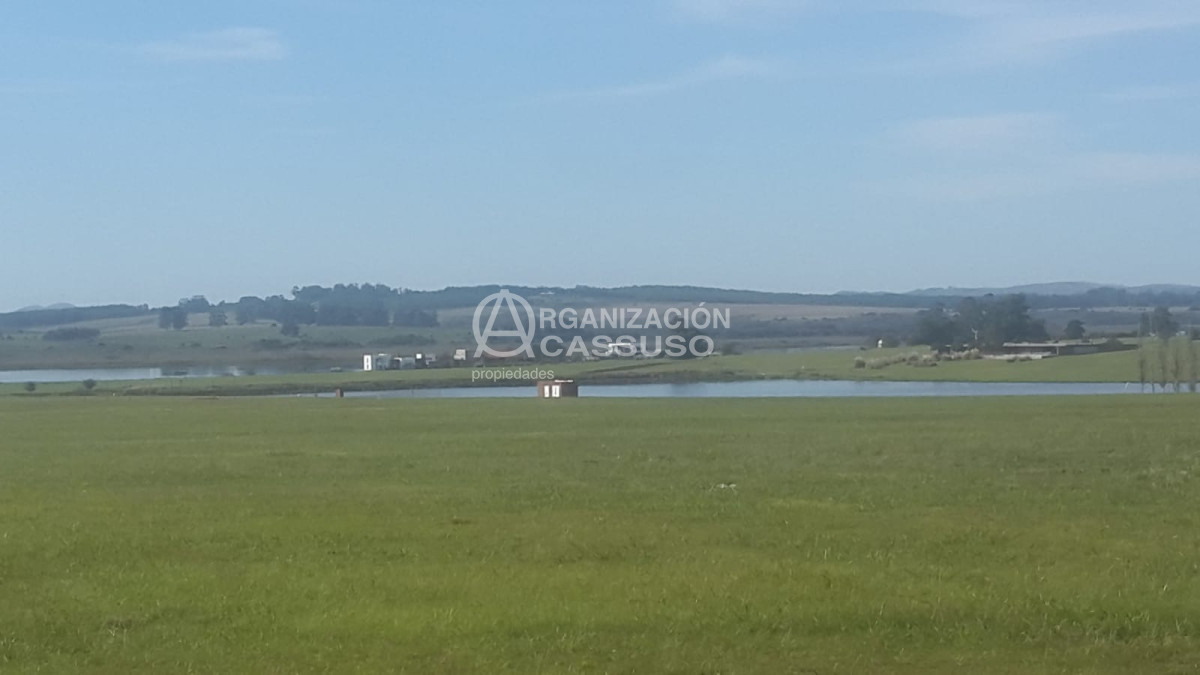 Laguna de los Cisnes - GoPunta - Portal Inmobiliario de Punta del Este - Maldonado