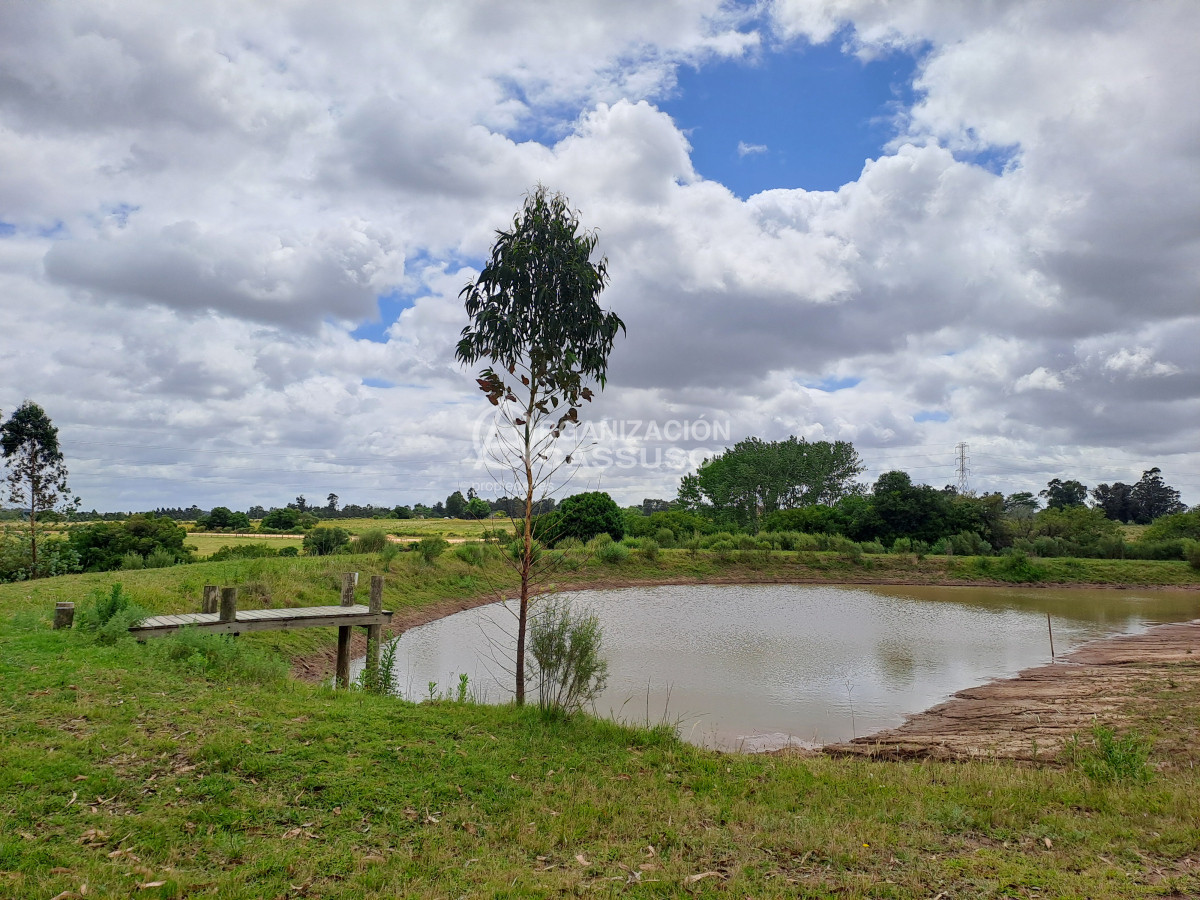 Ruta 104 - GoPunta - Portal Inmobiliario de Punta del Este - Maldonado