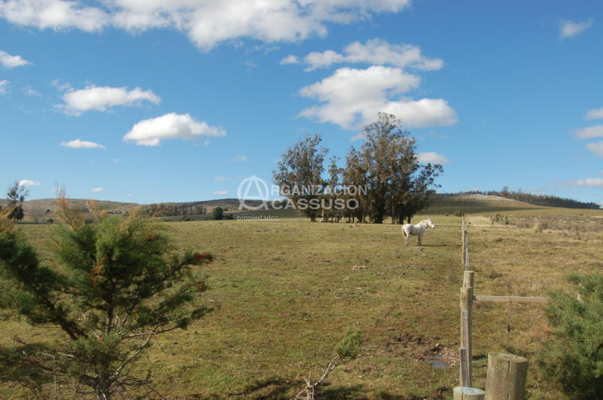 Abra de Perdomo - GoPunta - Portal Inmobiliario de Punta del Este - Maldonado
