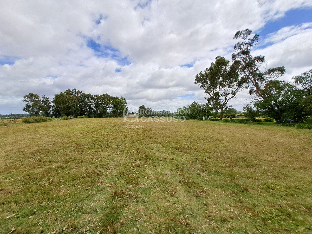 Ruta 104 - GoPunta - Portal Inmobiliario de Punta del Este - Maldonado