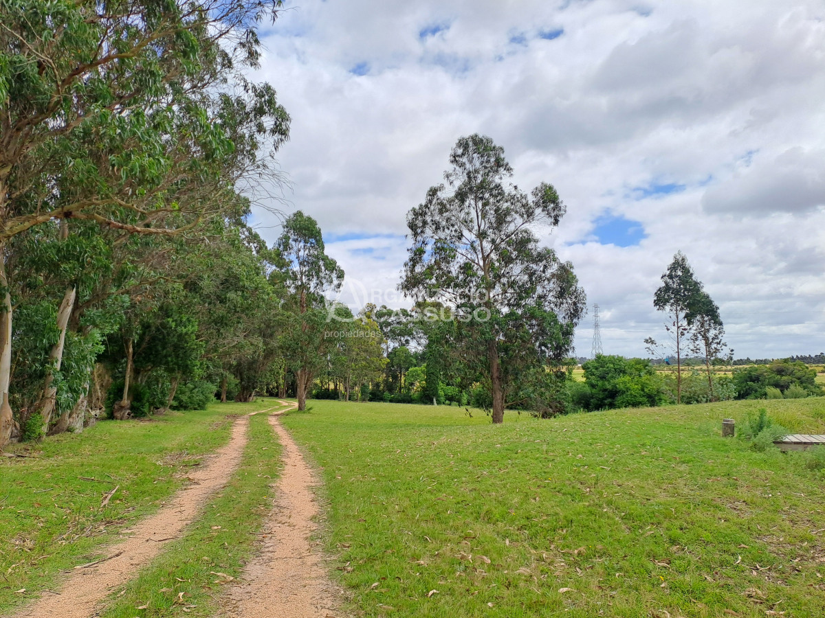 Ruta 104 - GoPunta - Portal Inmobiliario de Punta del Este - Maldonado