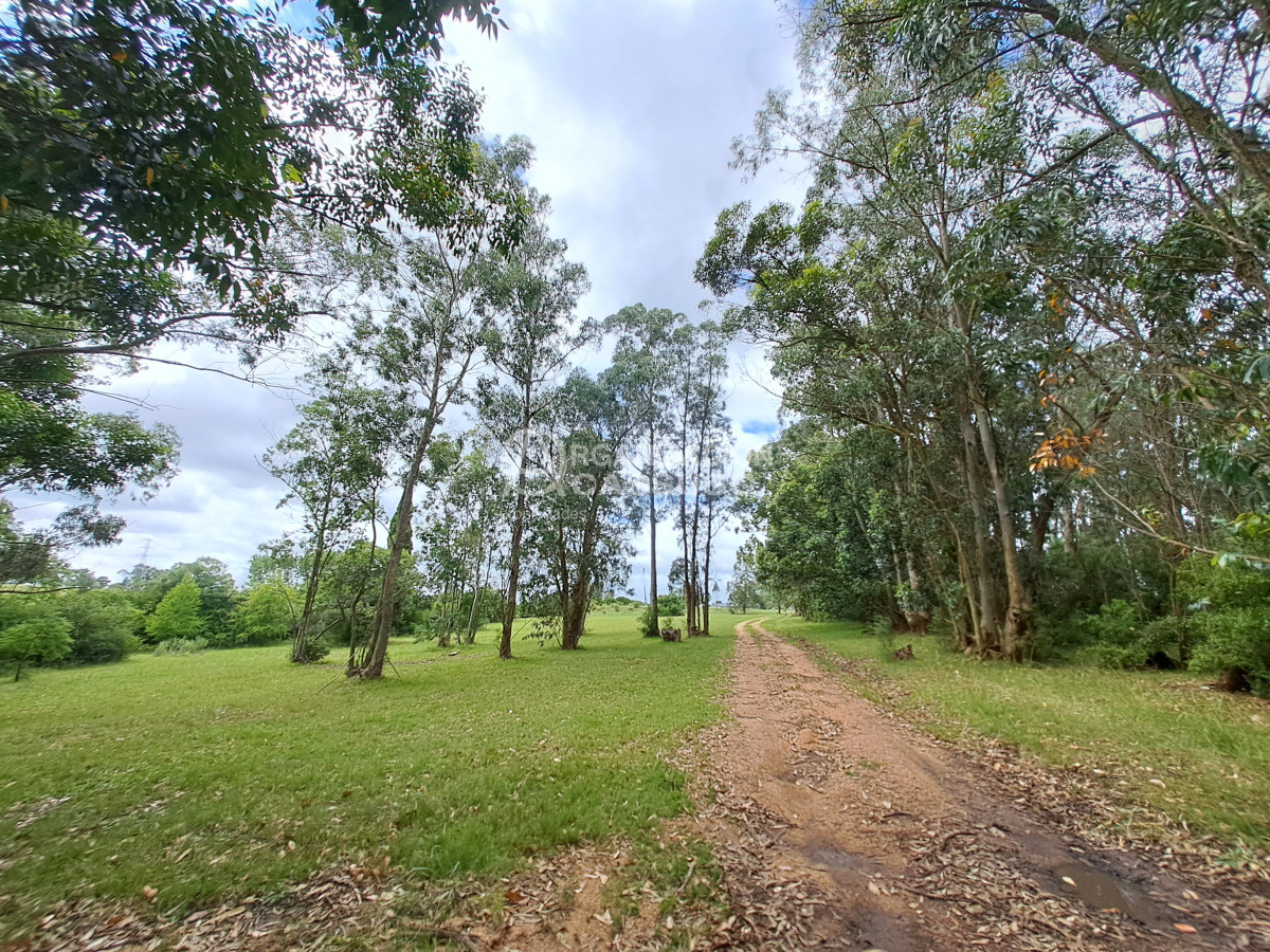 Ruta 104 - GoPunta - Portal Inmobiliario de Punta del Este - Maldonado