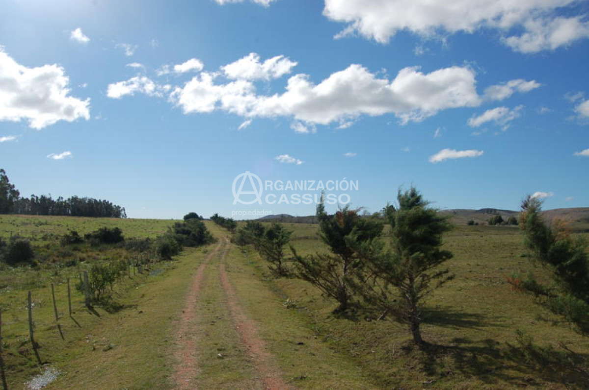 Abra de Perdomo - GoPunta - Portal Inmobiliario de Punta del Este - Maldonado