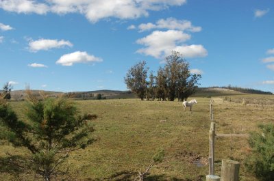 Chacra en Venta Paraje Mataojo, sobre camino rural  Camino a Zanja de Chavez 11 has