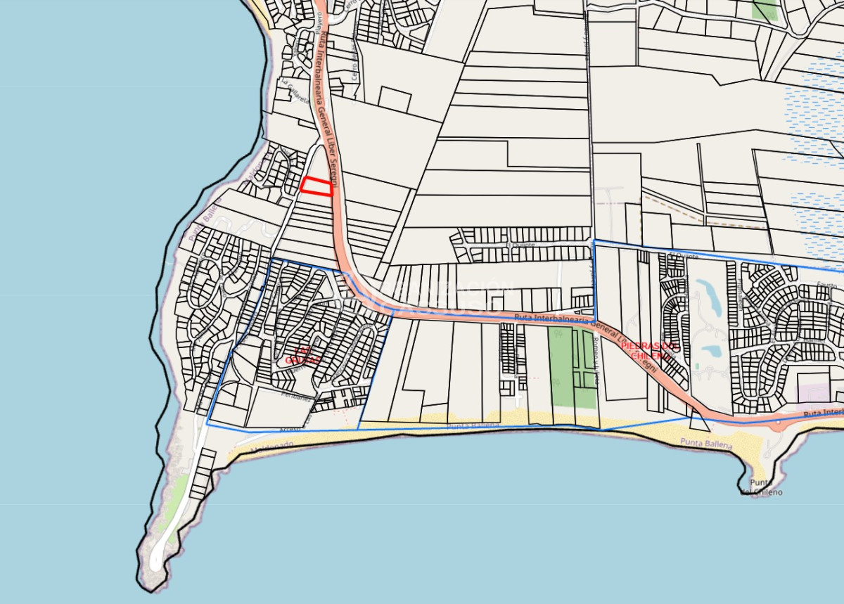 Lomo de la Ballena - GoPunta - Portal Inmobiliario de Punta del Este - Maldonado