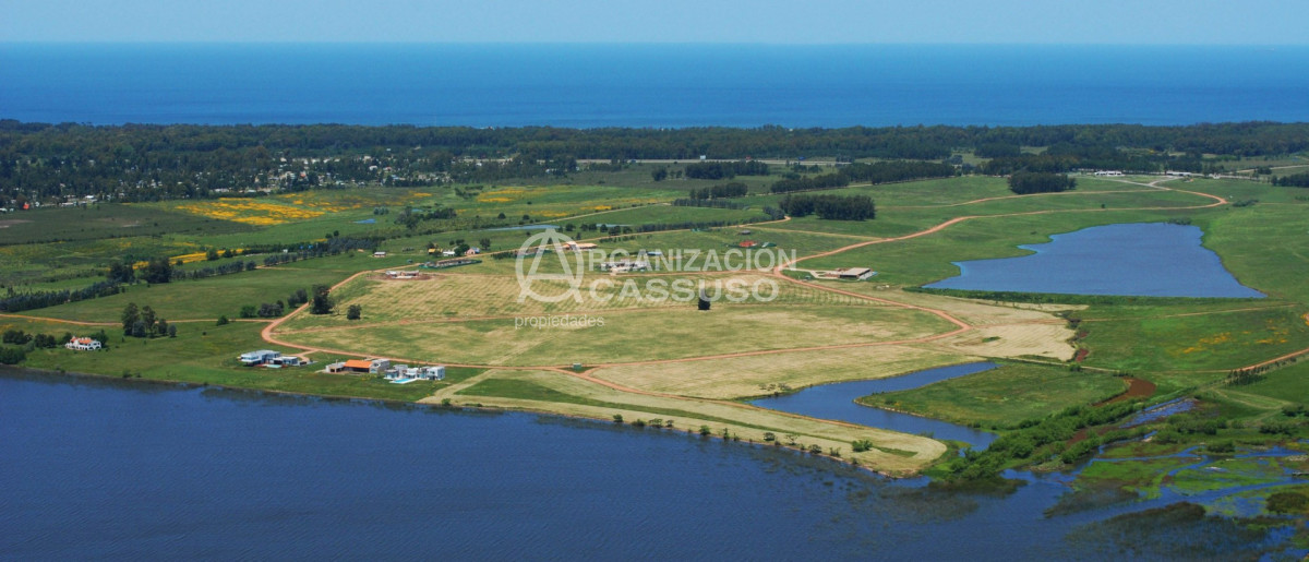 Propiedad - GoPunta - Portal Inmobiliario de Punta del Este - Maldonado