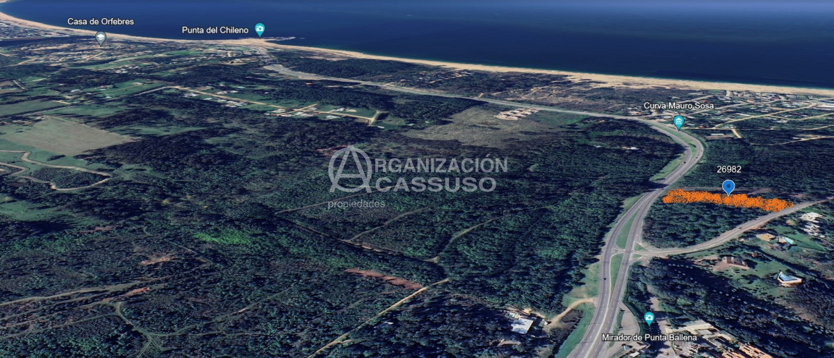 Lomo de la Ballena - GoPunta - Portal Inmobiliario de Punta del Este - Maldonado